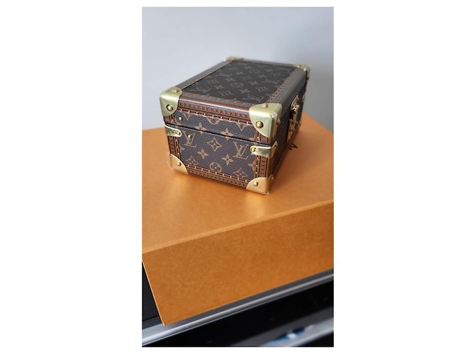 Louis Vuitton Scatola del tesoro 24 Pelle Marrone - vista 4
