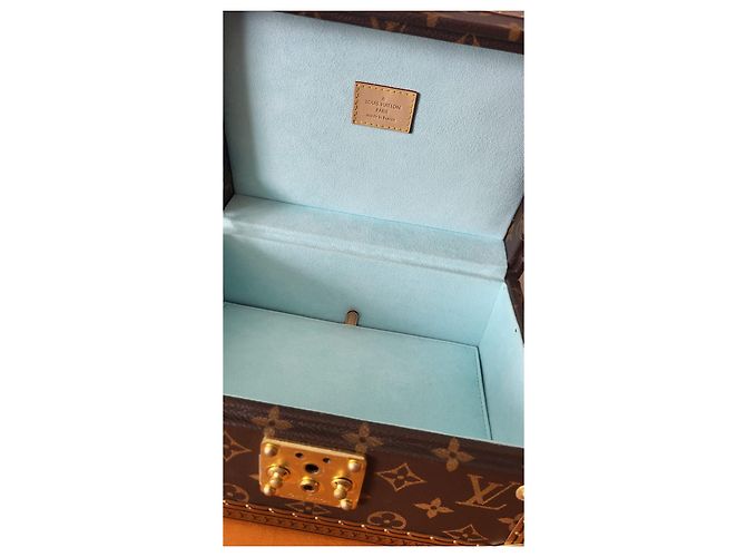 Louis Vuitton Scatola del tesoro 24 Pelle Marrone - vista 7