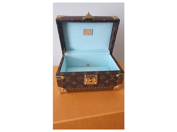 Louis Vuitton Scatola del tesoro 24 Pelle Marrone - vista 8