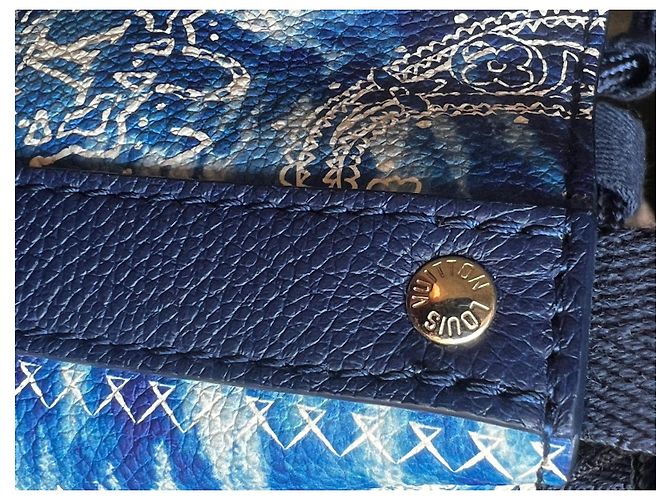 Louis Vuitton Randonnee PM Bandana-Kollektion 2022 Weiß Blau - Ansicht 15