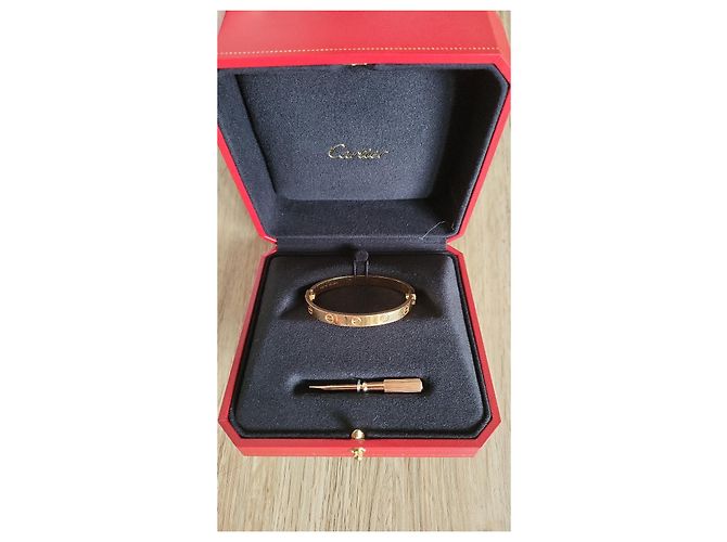 Pulsera Cartier-LOVE 15 Oro rosa - vista 6