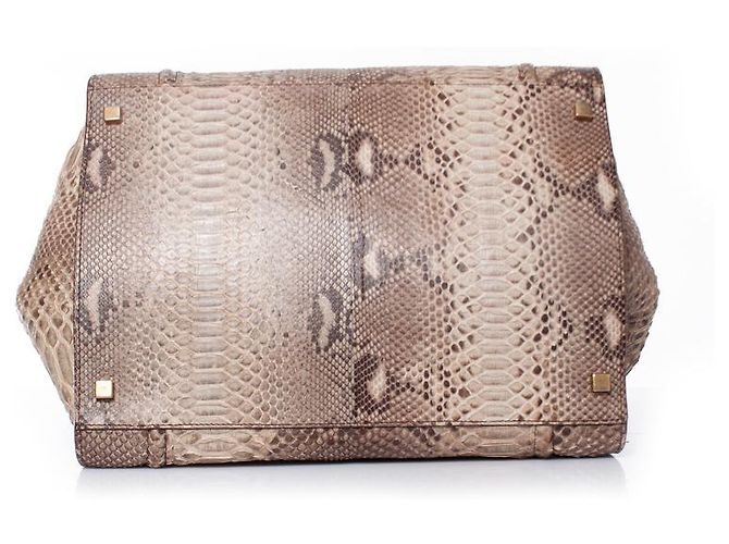 Céline Celine, Phantom Luggage tote in python leather Brown - view 5