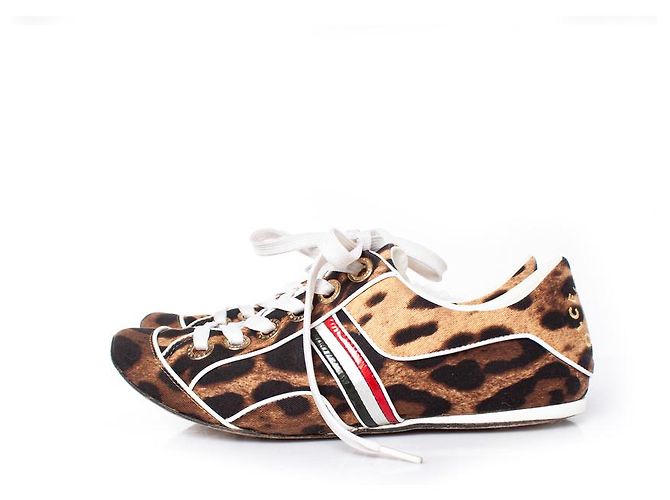 DOLCE & GABBANA, scarpe da ginnastica leopardate Multicolore - vista 2