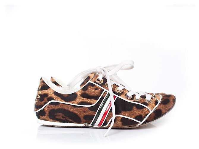DOLCE & GABBANA, scarpe da ginnastica leopardate Multicolore - vista 4