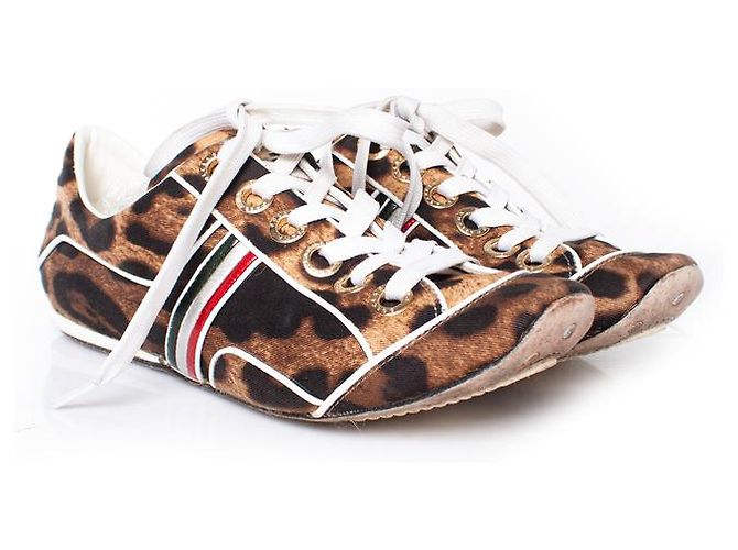 DOLCE & GABBANA, scarpe da ginnastica leopardate Multicolore - vista 5