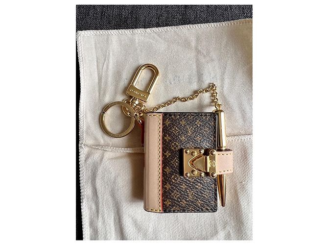 Louis Vuitton bolso joyas Gold hardware - vista 14