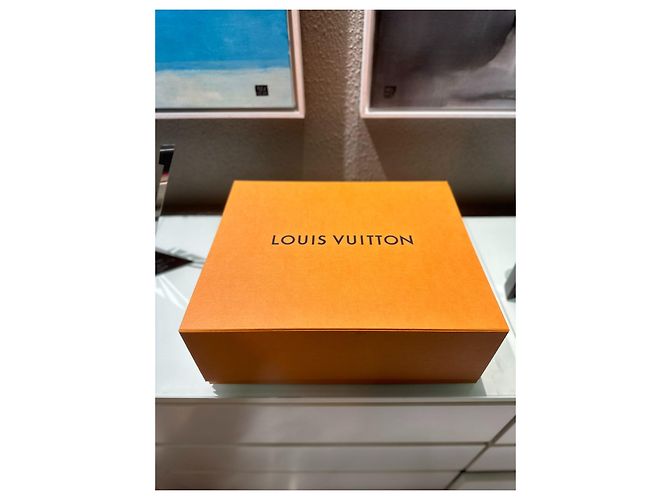 LOUIS VUITTON Monoglam Neverfull MM 2023 Modello Multicolore - vista 8