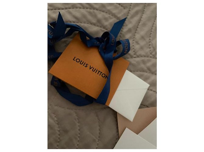 Louis Vuitton Gürtel aus Leder Schwarz und Hellbraun Golden - Ansicht 7