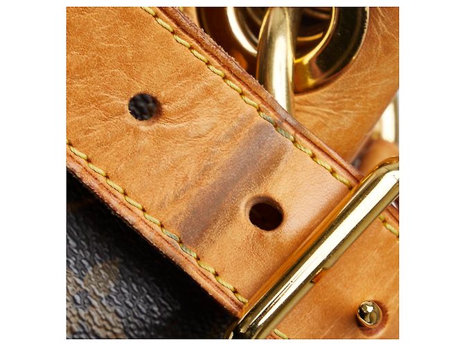 Louis Vuitton Brown Monogram Galliera PM Marrone - vista 11