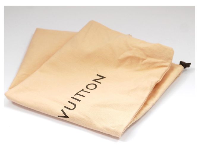 Borsa Louis Vuitton City Steamer East West Grigio - vista 13