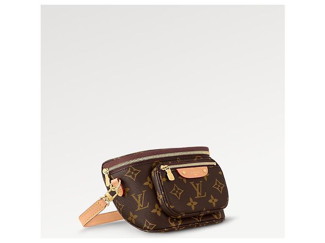 Louis Vuitton Mini Bumbag Brown Cloth - view 2