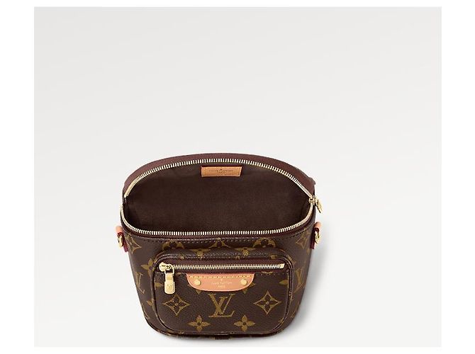 Louis Vuitton Mini Bumbag Brown Cloth - view 3