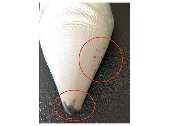 Céline Bottines en cuir glacé crème  avec une ouverture sur le devant et un petit talon Blanc cassé - vue 5