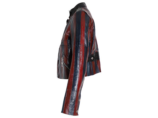 Louis Vuitton Striped Jacket in Multicolor Leather Python print - view 2