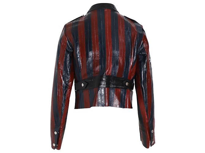 Louis Vuitton Striped Jacket in Multicolor Leather Python print - view 3