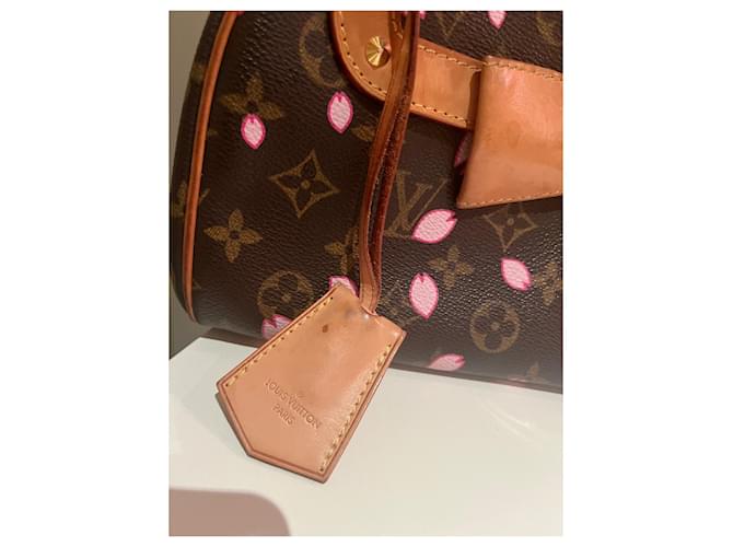 Alma Borsa Louis Vuitton Marrone - vista 5