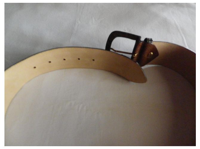 Longchamp Leather Belt Multicolour Camel and Burgundy Multiple colors - view 8
