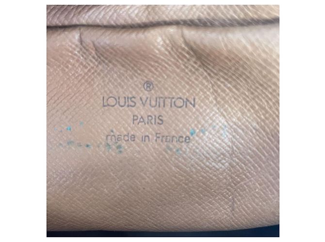 Louis Vuitton Danube Borsa in Pelle Monogram Marrone - vista 10