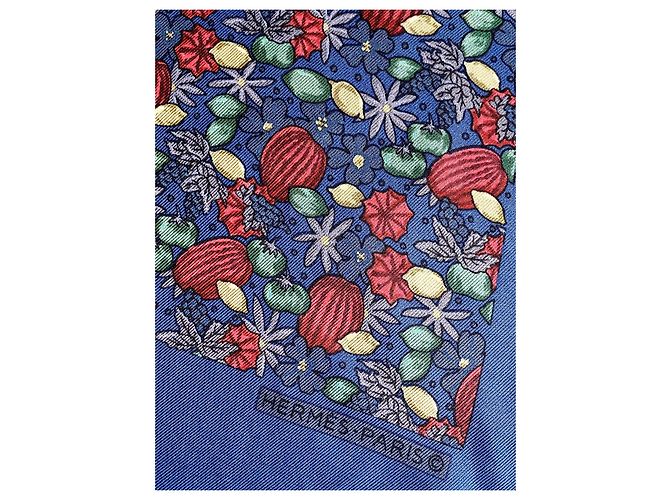 Hermès seda com cachecol carré Multicor - vista 7
