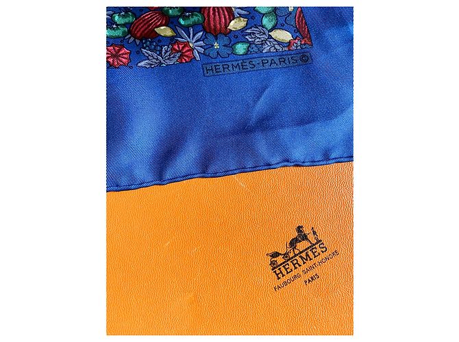 Hermès seda com cachecol carré Multicor - vista 9