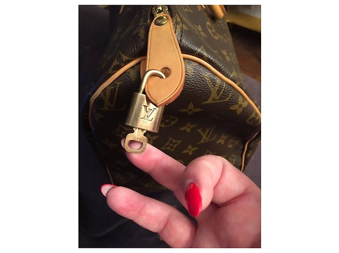 Louis Vuitton Speedy 40 monogramma - vista 12
