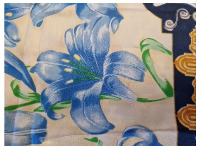 Pierre Balmain Stola mehrfarbig Mehrfarben - Ansicht 5