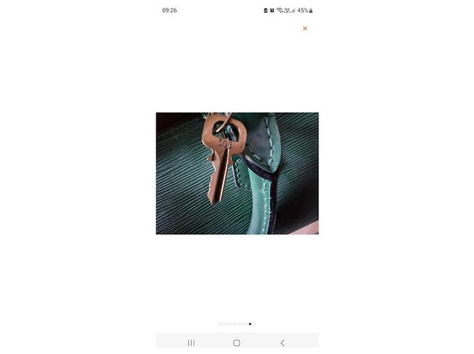 Borsa a mano Louis Vuitton Speedy 35 in pelle verde scuro - vista 3