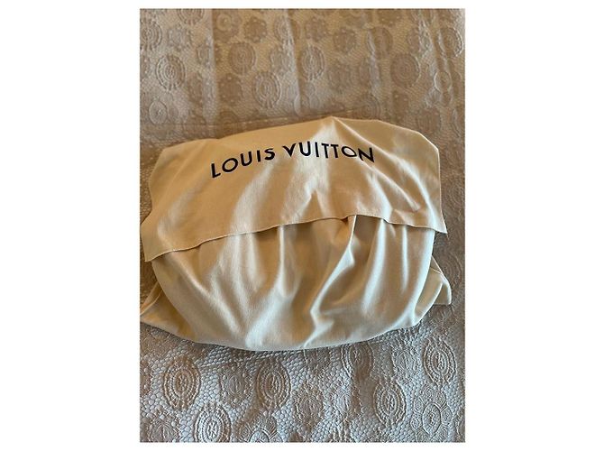 Borsa Louis Vuitton in pelle color crema Crudo - vista 7