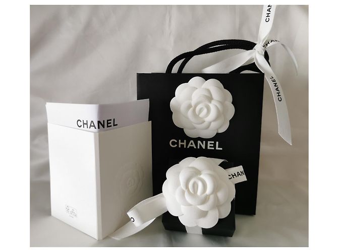 Pendientes icónicos con cierre giratorio de CHANEL Plata - vista 3