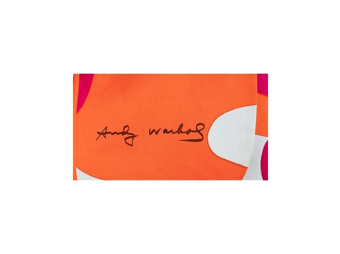 Autre Marque Stephen Sprouse x Andy Warhol Tarnjacke Mehrfarben - Ansicht 3