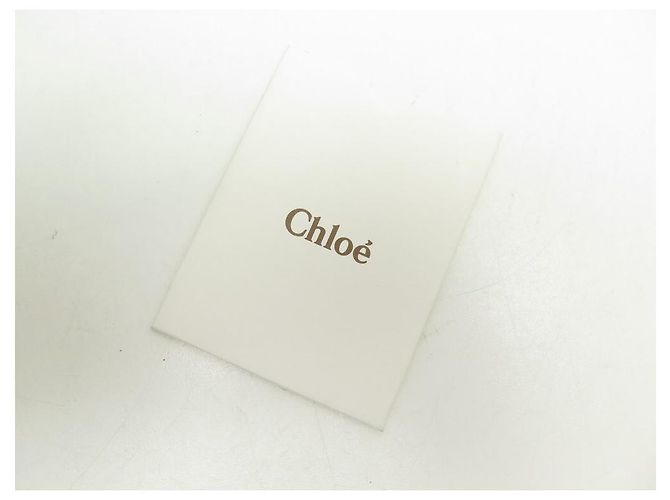 Chloé BOLSA CHLOE BETTY EM BOLSA DE MÃO DE COURO BRONZE PYTHON - vista 10