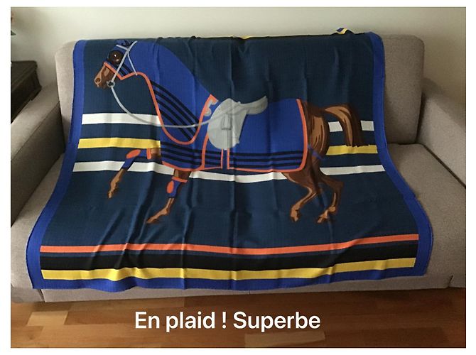Hermès "Caballo en la portada" Azul marino - vista 12