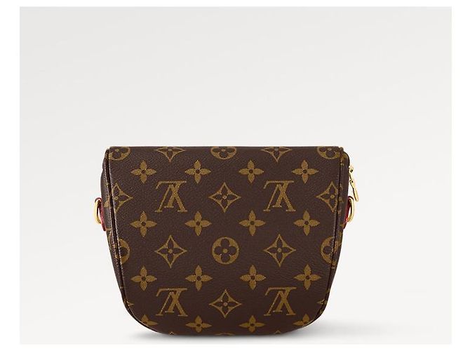 Louis Vuitton Monogramma LV Mini Bumbag nuovo Marrone - vista 2
