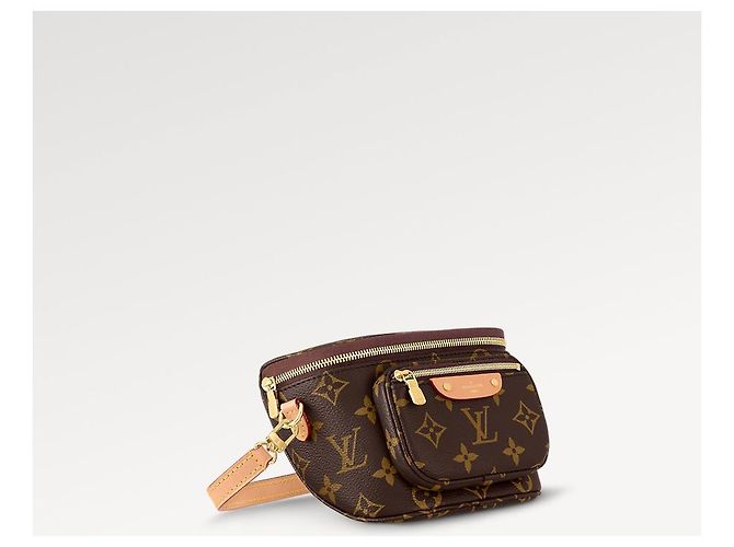 Louis Vuitton Monogramma LV Mini Bumbag nuovo Marrone - vista 4