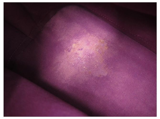 BORSA A MANO LOUIS VUITTON ALMA GM IN PELLE MONOGRAM VERNICE FUCSIA Fuschia - vista 9