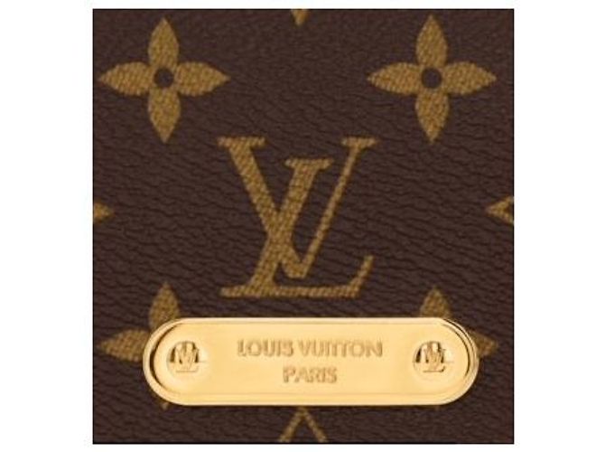 Louis Vuitton Portafoglio LV con catena Lily Marrone - vista 2
