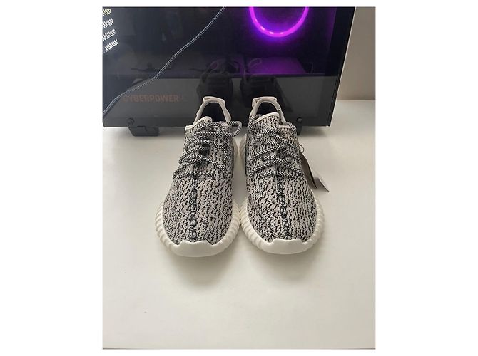 Yeezy Tortora Agosto 2022 V2 Multicolore - vista 3