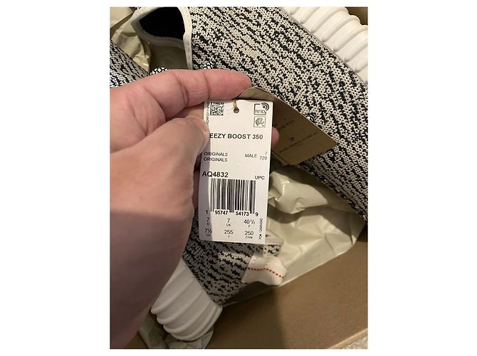 Yeezy Tortora Agosto 2022 V2 Multicolore - vista 6