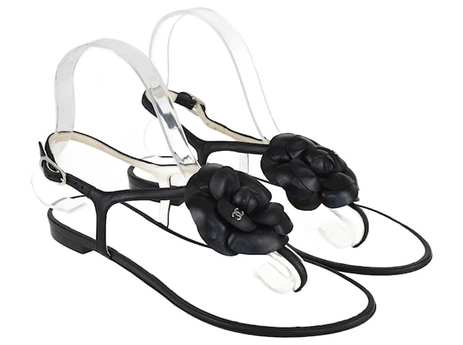 CC 26 Camellia Thong Sandal Beige mix Black Sheepskin 609999