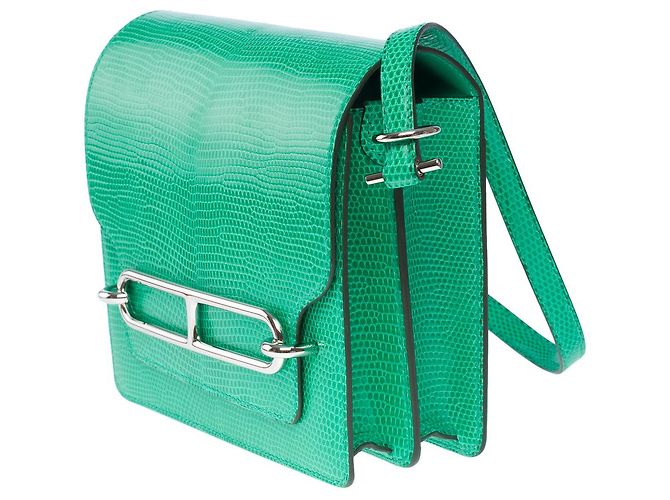 Hermès Borsa HERMES Roulis in pellami esotici Verde - 101528 - vista 5