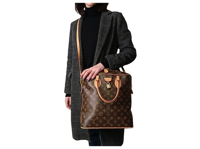 Borsa a tracolla Louis Vuitton CarryAll MM in tela monogram Marrone - vista 8