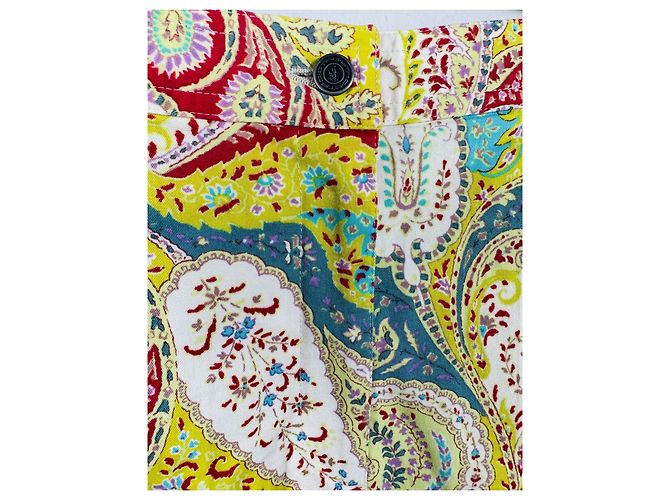 Saia midi Etro de algodão multicolorida Multicor - vista 3