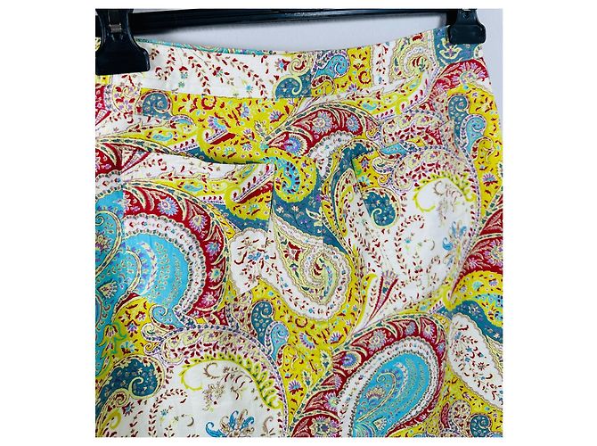 Saia midi Etro de algodão multicolorida Multicor - vista 4