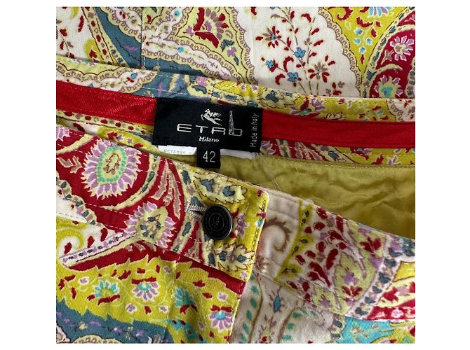 Saia midi Etro de algodão multicolorida Multicor - vista 5