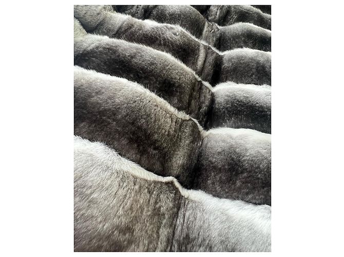 Autre Marque Chaleco de chinchilla PT Furs Gris - vista 5