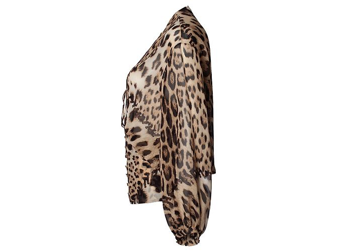Roberto Cavalli, Top transparente con estampado de leopardo Castaño - vista 3