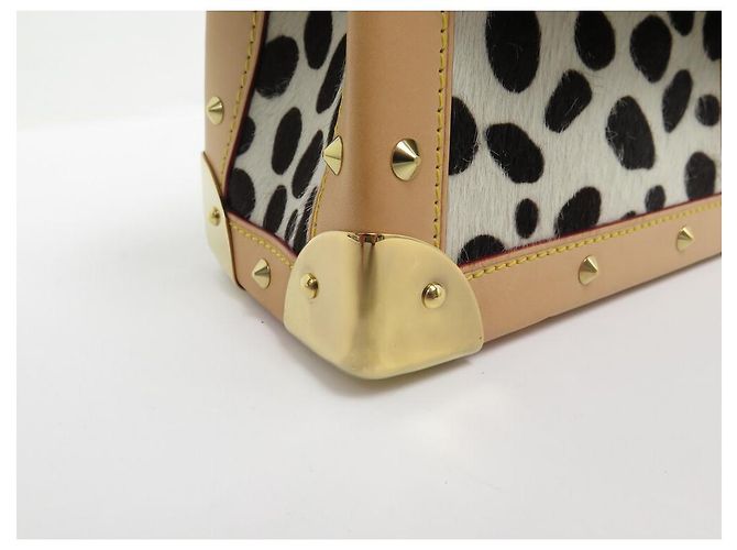 NUOVA BORSA A MANO LOUIS VUITTON DALMATIEN MONOGRAM MURAKAMI ED LIMITEE Multicolore - vista 11