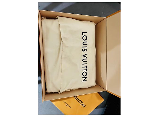 Borsa Louis Vuitton Saddlebag in pelle marrone - vista 4