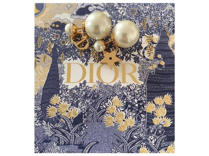 Orecchini Christian Dior Tribales - vista 3