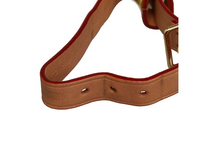 Etichetta per bagaglio Louis Vuitton Vivienne marrone - vista 7